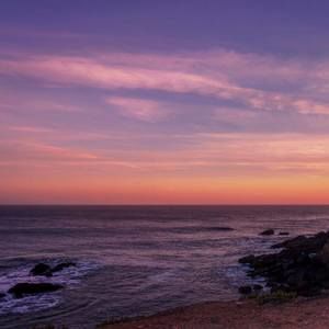 Meet your Posher, Salem